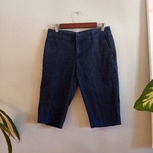 Banana Republic Hampton Fit Preppy Dark Wash Denim Flat Front Shorts